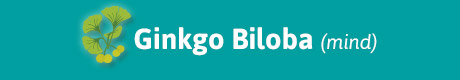 460x80_eys_almighty_ginkgo